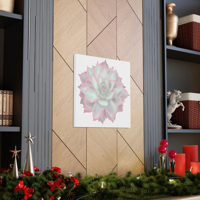 Echeveria Violet Queen Succulent Canvas, Canvas, Laura Christine Photography & Design, Art & Wall Decor, Canvas, Hanging Hardware, Home & Living, Indoor, Laura Christine Photography & Design, laurachristinedesign.com