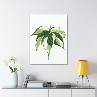Philodendron 'Cream Splash' Canvas, Canvas, Printify, Art & Wall Decor, Canvas, Hanging Hardware, Home & Living, Indoor, Laura Christine Photography & Design, laurachristinedesign.com
