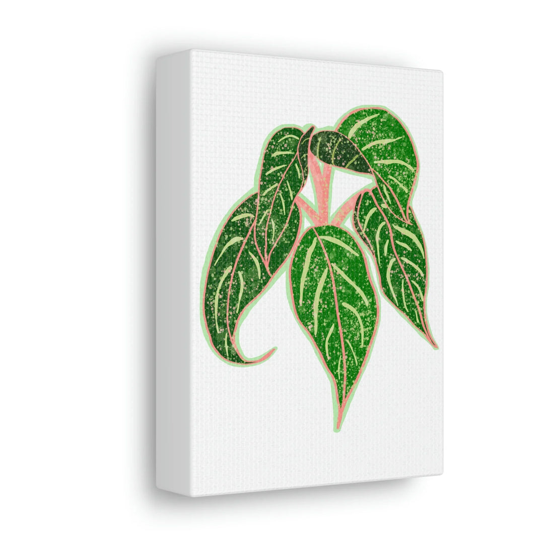 Aglaonema Plant Canvas | Sparkling Plant Artwork - Colorfast Canvas Art Print Decor