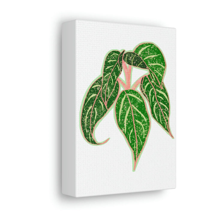 Aglaonema Plant Canvas | Sparkling Plant Artwork - Colorfast Canvas Art Print Decor
