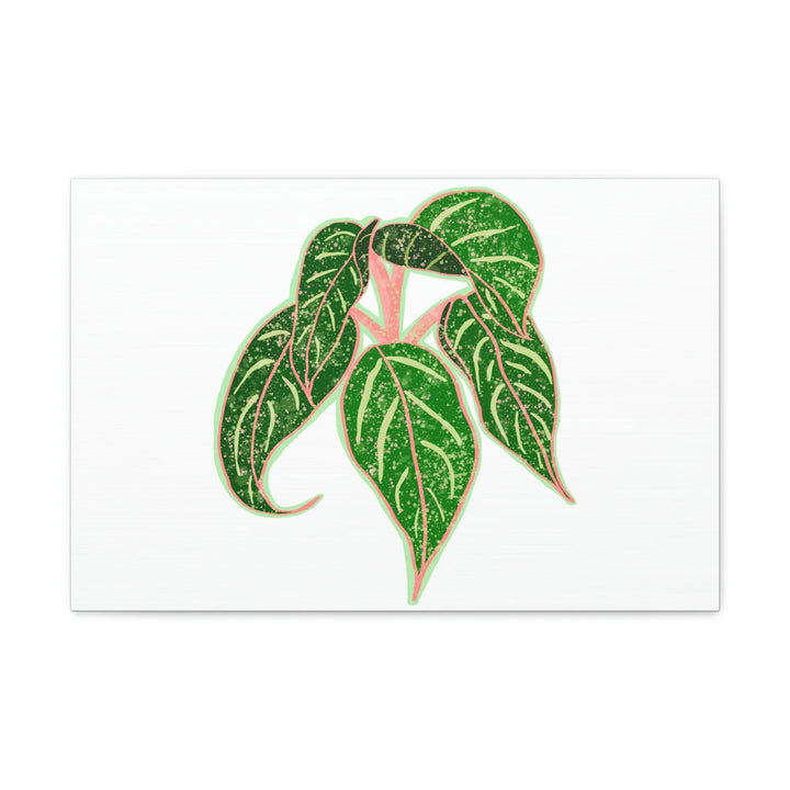 Aglaonema Plant Canvas | Sparkling Plant Artwork - Colorfast Canvas Art Print Decor