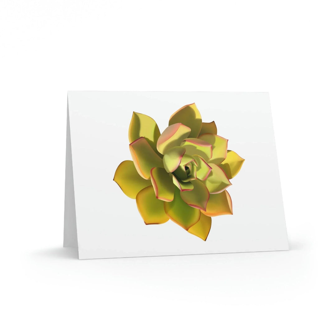 Noble Aeonium Succulent Greeting Card, Paper products, Printify, Greeting Card, Holiday Picks, Home & Living, Paper, Postcard, Postcards, Laura Christine Photography & Design, laurachristinedesign.com