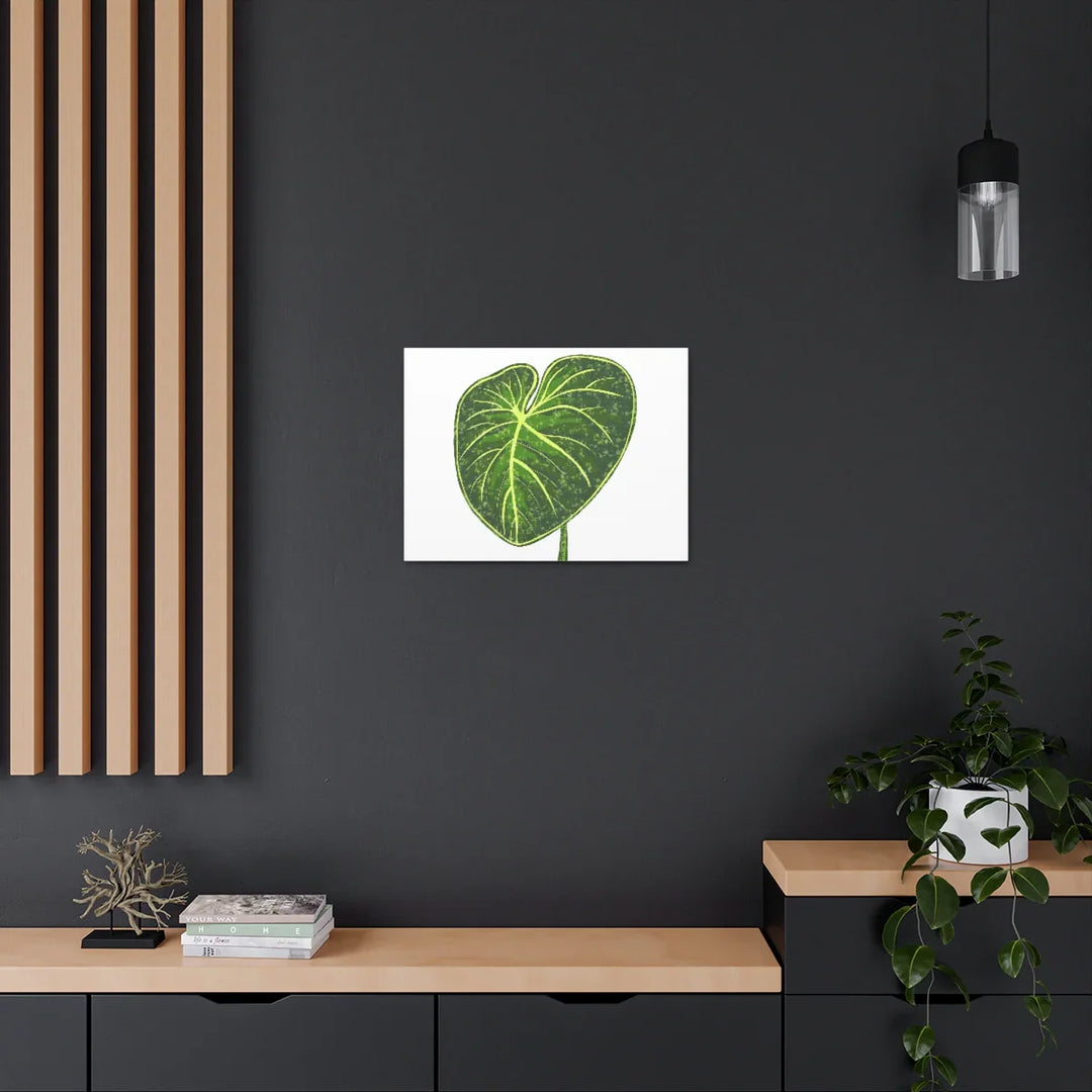 Philodendron Gloriosum Canvas - Stretched Canvas Art Print | Matte Indoor Wall Art - Laura Christine Photography & Design