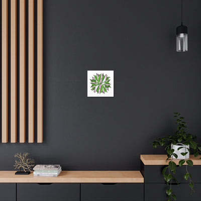 Tricolor Syngonium Canvas