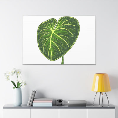 Philodendron Gloriosum Canvas, Canvas, Laura Christine Photography & Design, Art & Wall Decor, Canvas, Hanging Hardware, Home & Living, Indoor, Laura Christine Photography & Design, laurachristinedesign.com