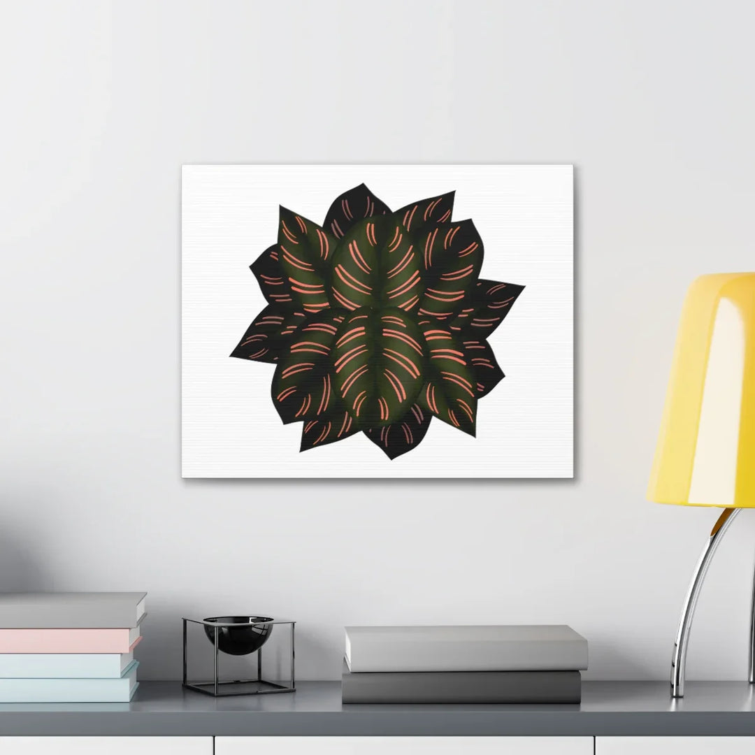 Calathea Pinstripe Canvas – Botanical Canvas Art Print | Matte Finish Wall Decor