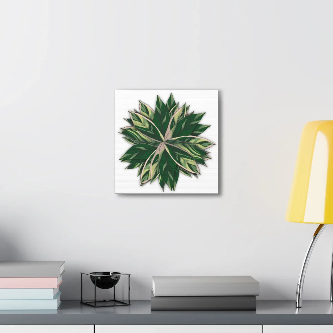 Stromanthe Triostar Canvas - Pastel Stripe Canvas Art Print With Vivid Color Artwork - Laura Christine Photography & Design