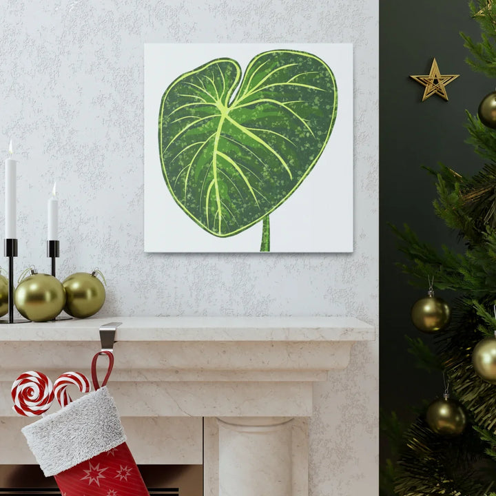 Philodendron Gloriosum Canvas - Stretched Canvas Art Print | Matte Indoor Wall Art - Laura Christine Photography & Design