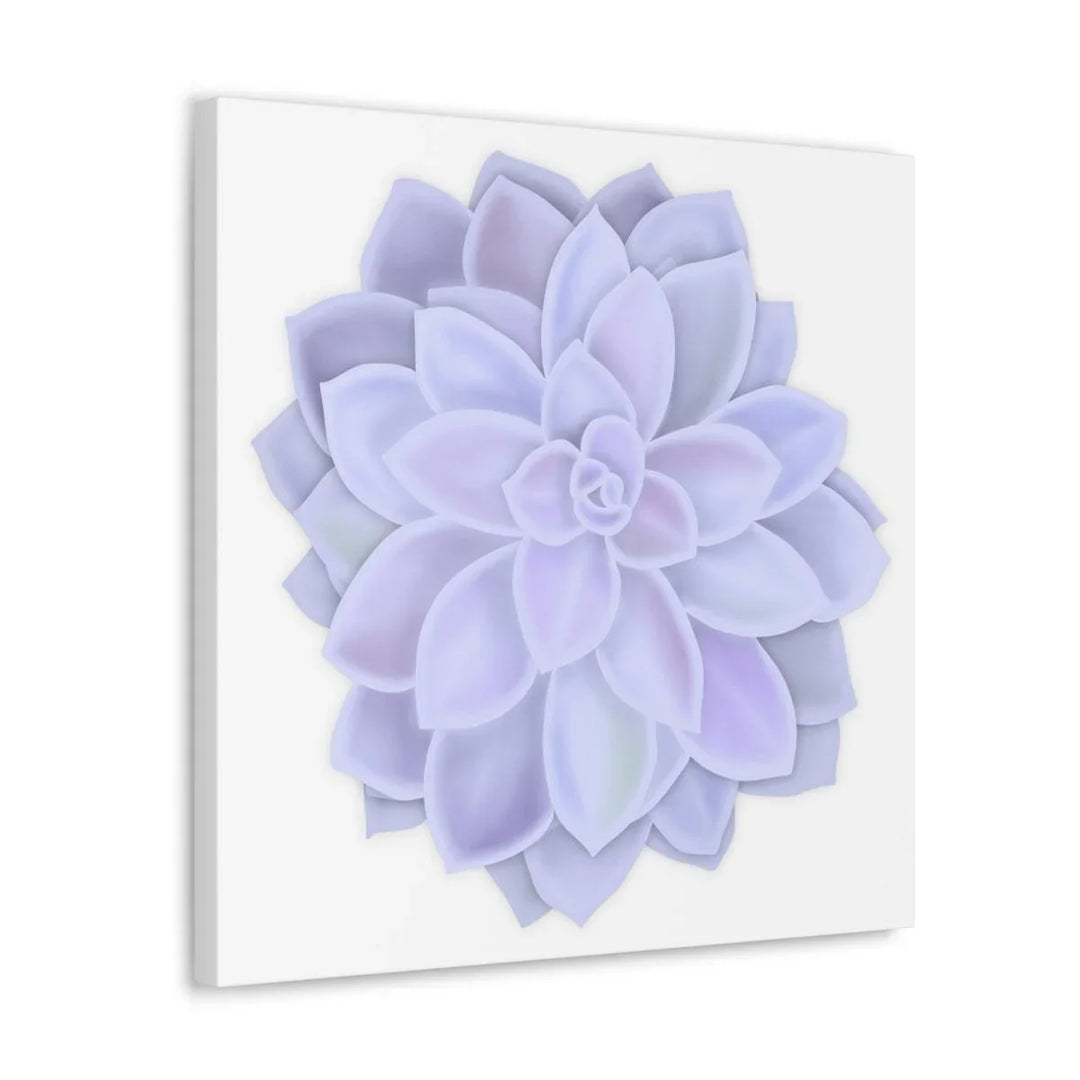 Graptopetalum 'Murasaki' Succulent Canvas, Canvas, Laura Christine Photography & Design, Art & Wall Decor, Canvas, Hanging Hardware, Home & Living, Indoor, Laura Christine Photography & Design, laurachristinedesign.com