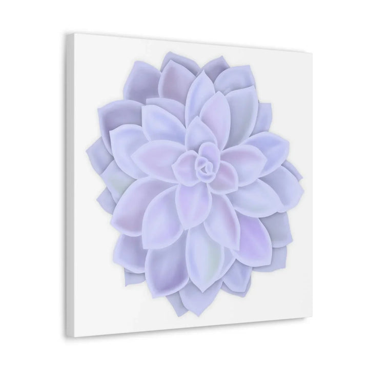 Graptopetalum 'Murasaki' Succulent Canvas, Canvas, Laura Christine Photography & Design, Art & Wall Decor, Canvas, Hanging Hardware, Home & Living, Indoor, Laura Christine Photography & Design, laurachristinedesign.com