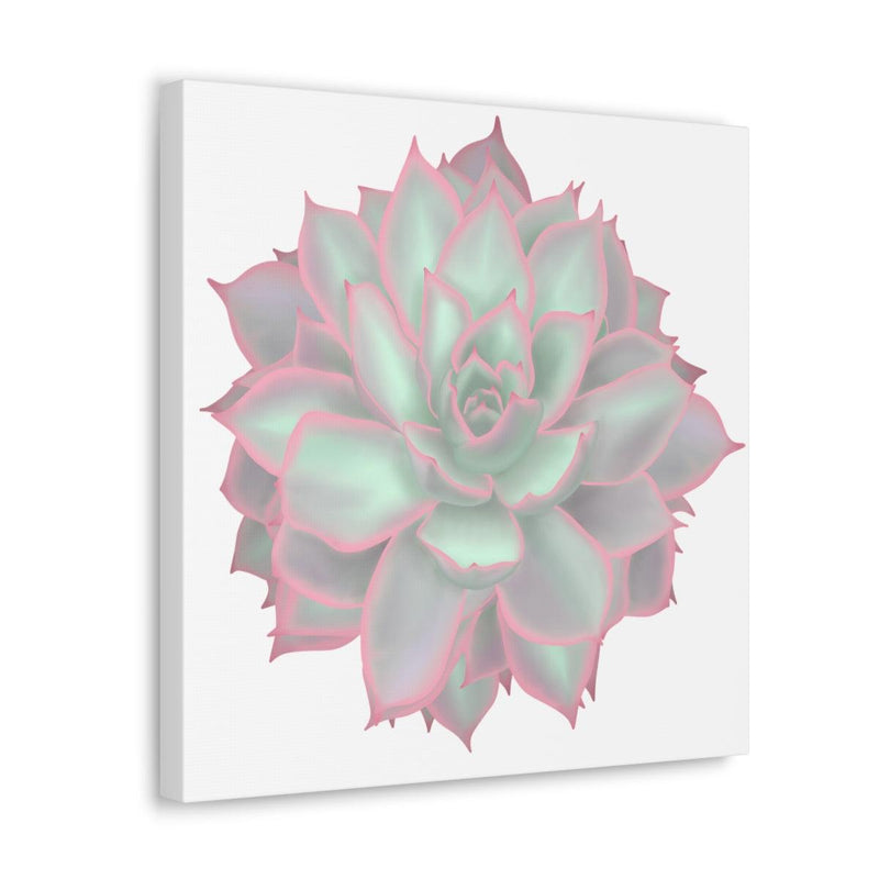 Echeveria Violet Queen Succulent Canvas, Canvas, Laura Christine Photography & Design, Art & Wall Decor, Canvas, Hanging Hardware, Home & Living, Indoor, Laura Christine Photography & Design, laurachristinedesign.com