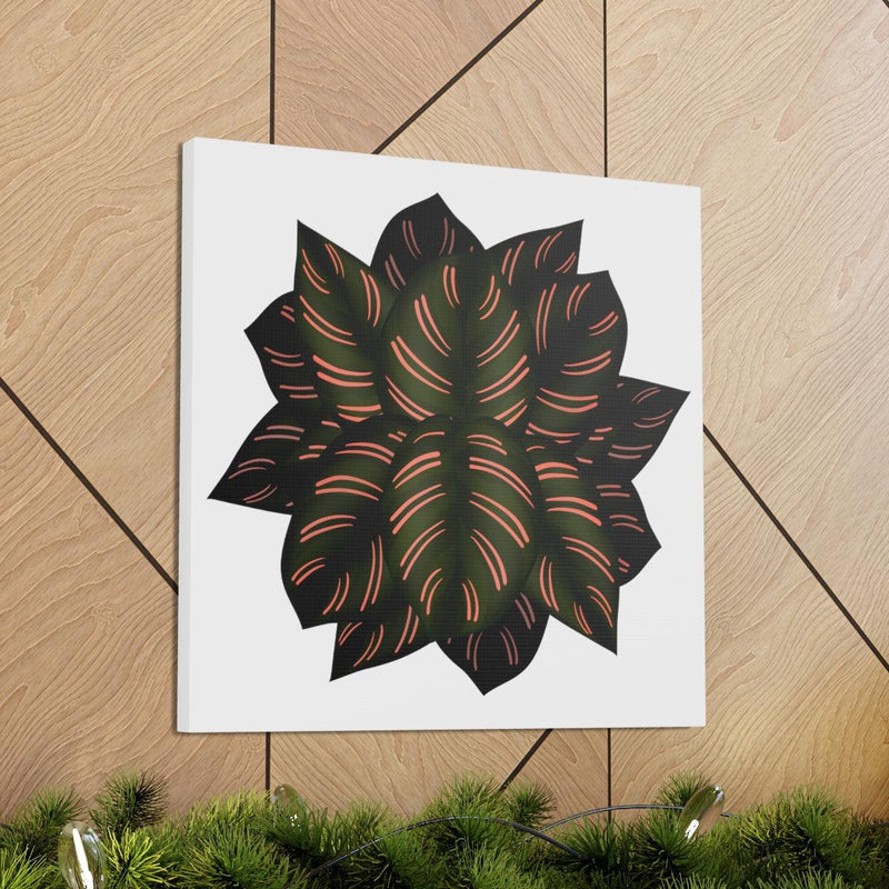 Calathea Pinstripe Canvas, Canvas, Laura Christine Photography & Design, Art & Wall Decor, Canvas, Hanging Hardware, Home & Living, Indoor, Laura Christine Photography & Design, laurachristinedesign.com