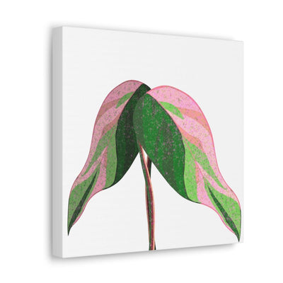 Pink Princess Philodendron Canvas, Canvas, Laura Christine Photography & Design, Art & Wall Decor, Canvas, Hanging Hardware, Home & Living, Indoor, Laura Christine Photography & Design, 