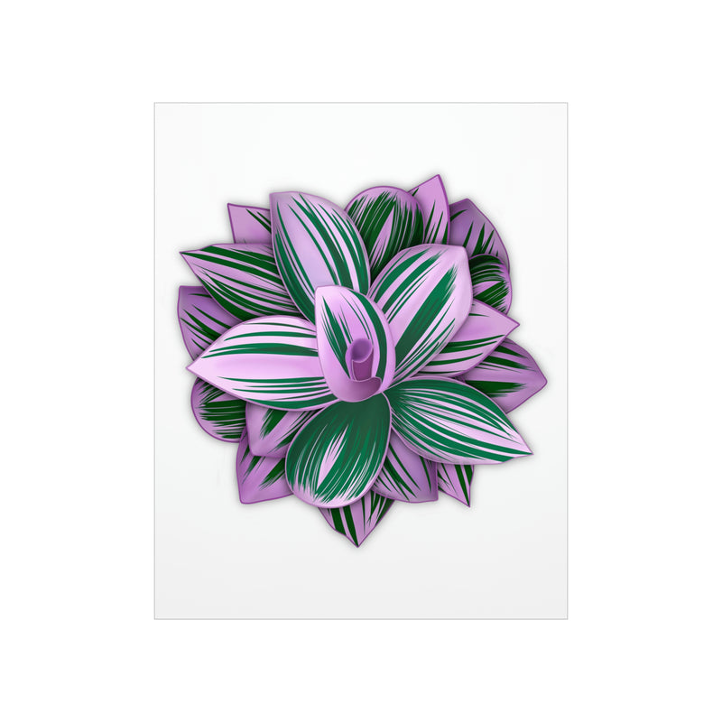 Tradescantia Nanouk Print