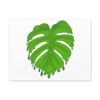 Melting Monstera Canvas