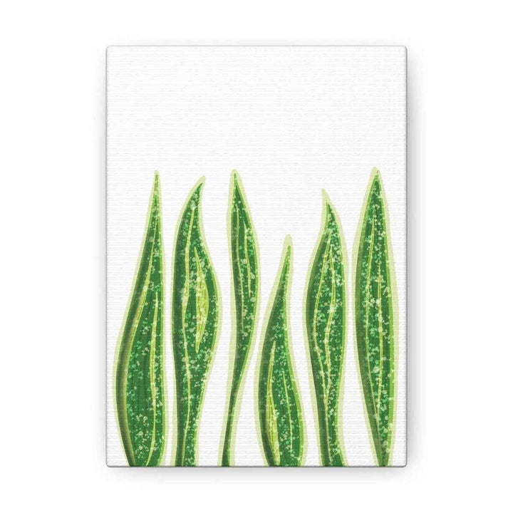 Snake Plant Canvas | Botanical Canvas Decor - Matte Finish Artwork for Living Room