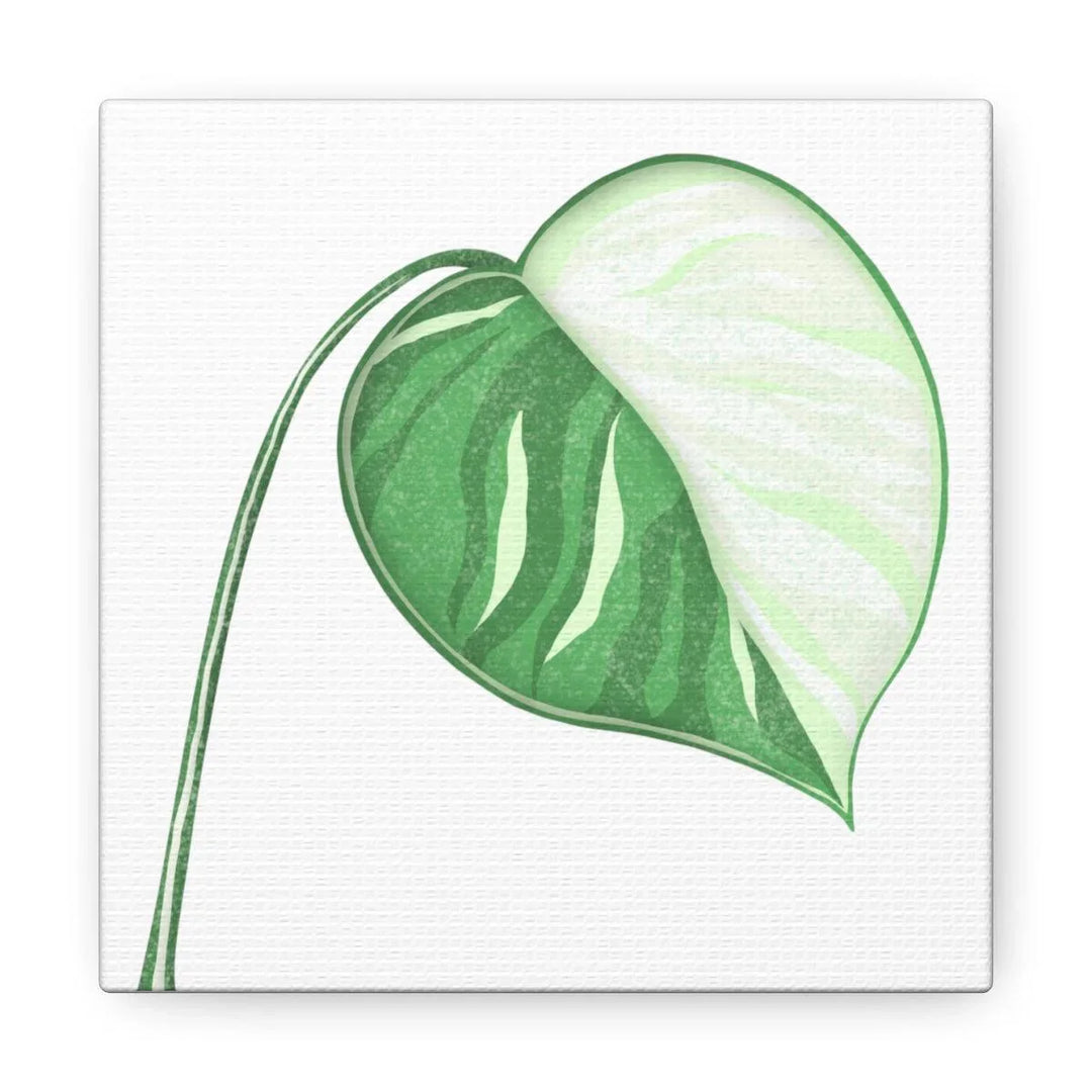 Monstera Albo Canvas | Large Tropical Leaf Artwork - Matte Finish Canvas Art Print - Laura Christine Photography & Design