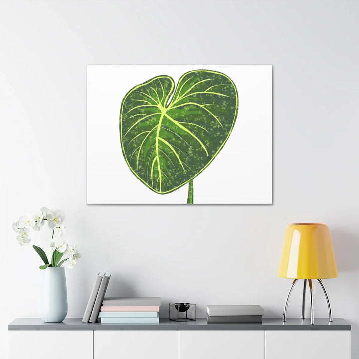 Philodendron Gloriosum Canvas - Stretched Canvas Art Print | Matte Indoor Wall Art - Laura Christine Photography & Design