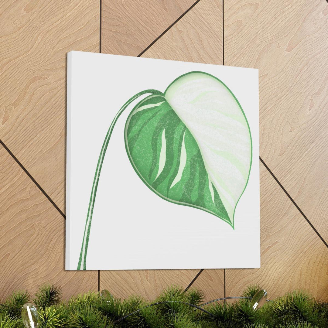 Monstera Albo Canvas | Large Tropical Leaf Artwork - Matte Finish Canvas Art Print - Laura Christine Photography & Design