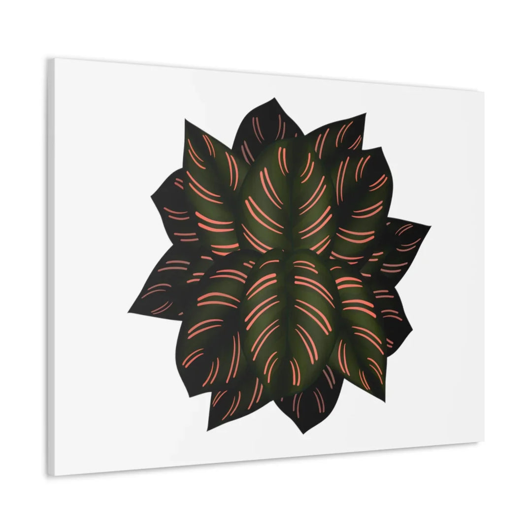 Calathea Pinstripe Canvas – Botanical Canvas Art Print | Matte Finish Wall Decor