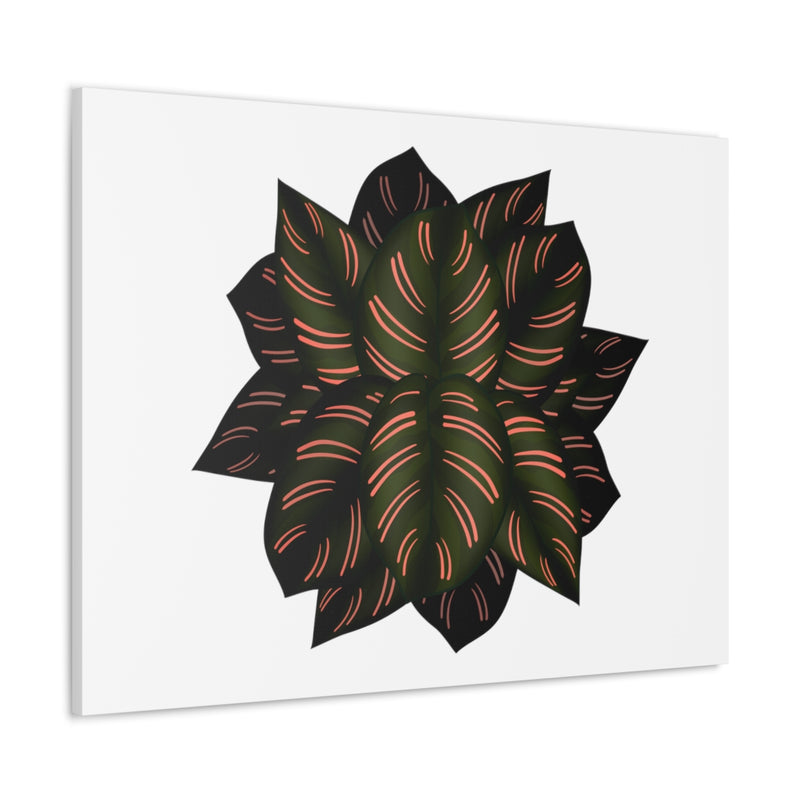 Calathea Pinstripe Canvas