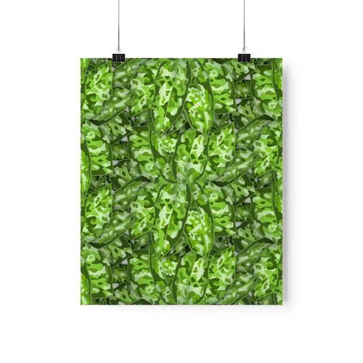 Aglaonema Pictum Tricolor Print, Poster, Laura Christine Photography & Design, Back to School, Home & Living, Indoor, Matte, Paper, Posters, Valentine's Day promotion, Laura Christine Photography & Design, laurachristinedesign.com