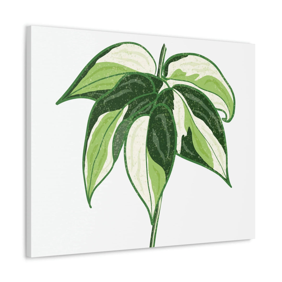 Philodendron Canvas Print - Cream Splash Variegated Plant Art on Matte Cotton Canvas
