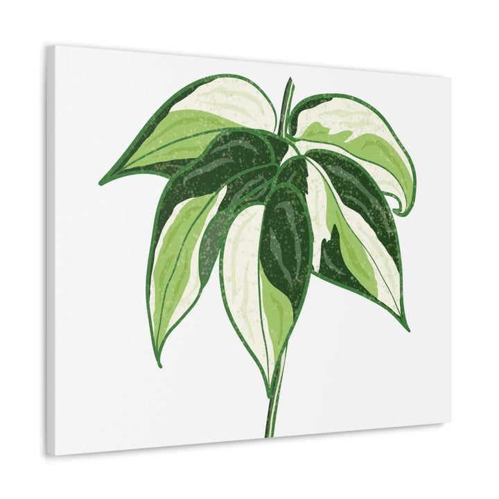 Philodendron Canvas Print - Cream Splash Variegated Plant Art on Matte Cotton Canvas