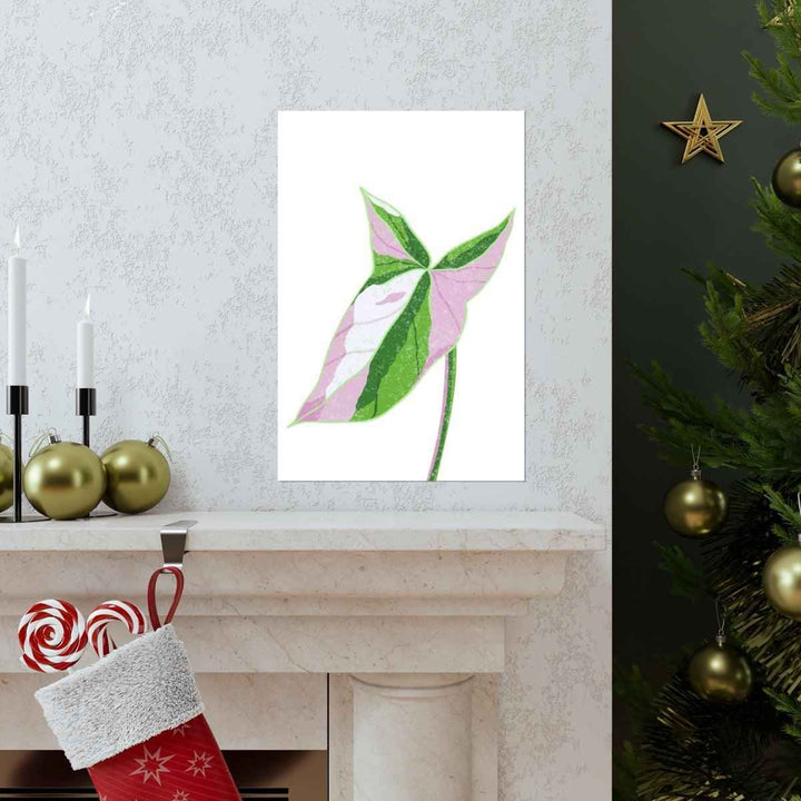 Syngonium Tricolor Print – Botanical Wall Art | Variegated Leaf Poster Unframed