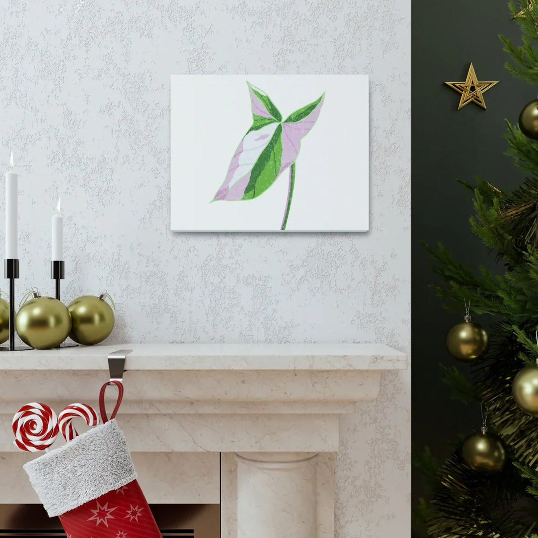 Syngonium Tricolor Canvas | Botanical Canvas Art Print With Matte Finish - Laura Christine Photography & Design