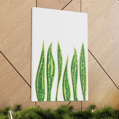 Snake Plant Canvas, Canvas, Laura Christine Photography & Design, Art & Wall Decor, Canvas, Hanging Hardware, Home & Living, Indoor, Laura Christine Photography & Design, laurachristinedesign.com