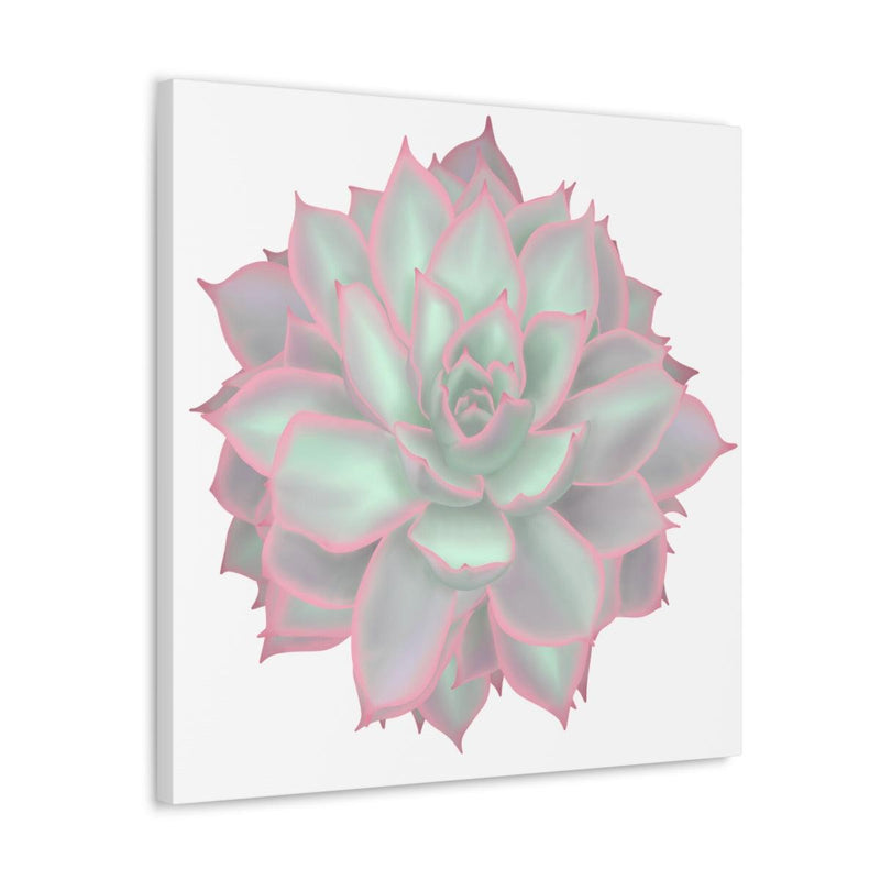 Echeveria Violet Queen Succulent Canvas, Canvas, Laura Christine Photography & Design, Art & Wall Decor, Canvas, Hanging Hardware, Home & Living, Indoor, Laura Christine Photography & Design, laurachristinedesign.com