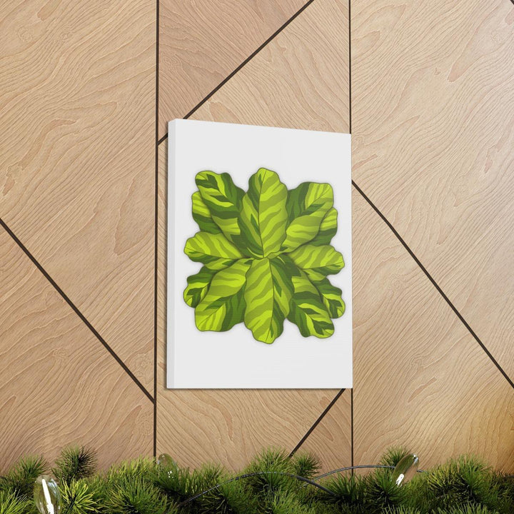 Calathea Yellow Fusion Canvas – Botanical Canvas Print With Unique Leaf Pattern Art - Laura Christine Photography & Design