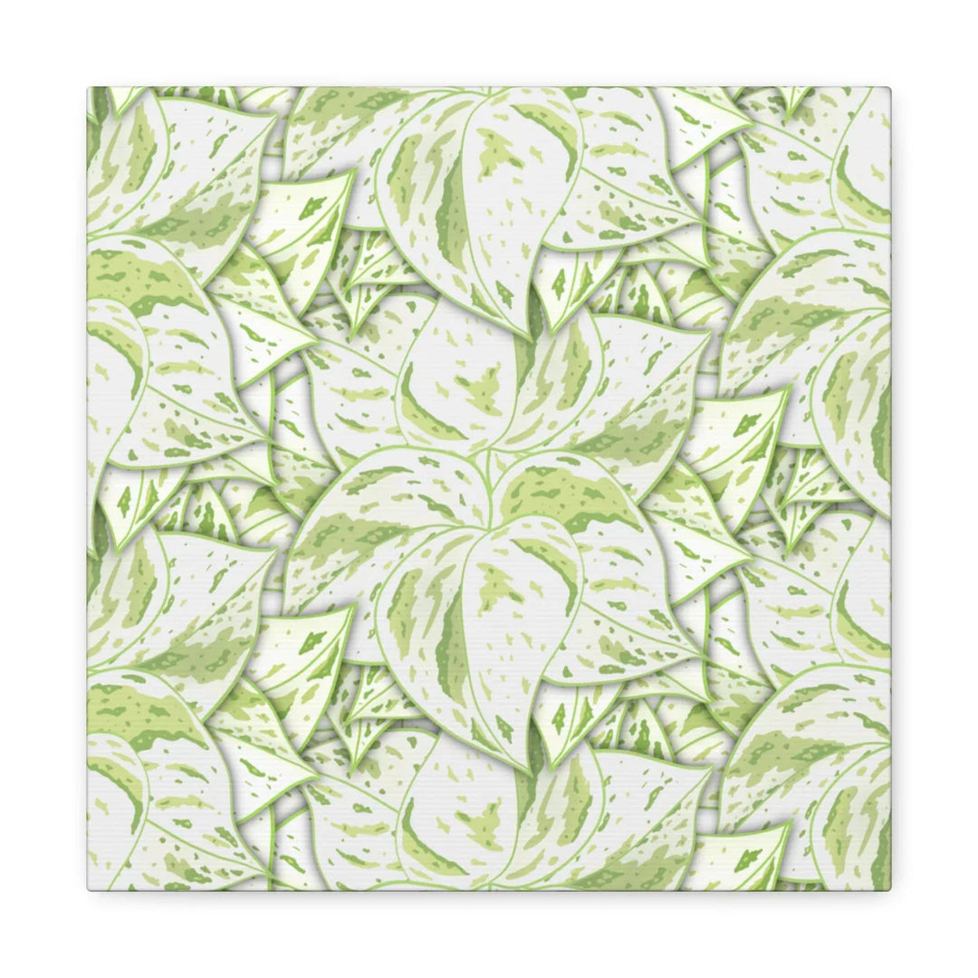 Snow Queen Pothos Canvas – Matte Finish Canvas Art Print | Variegated Botanical Wall Decor