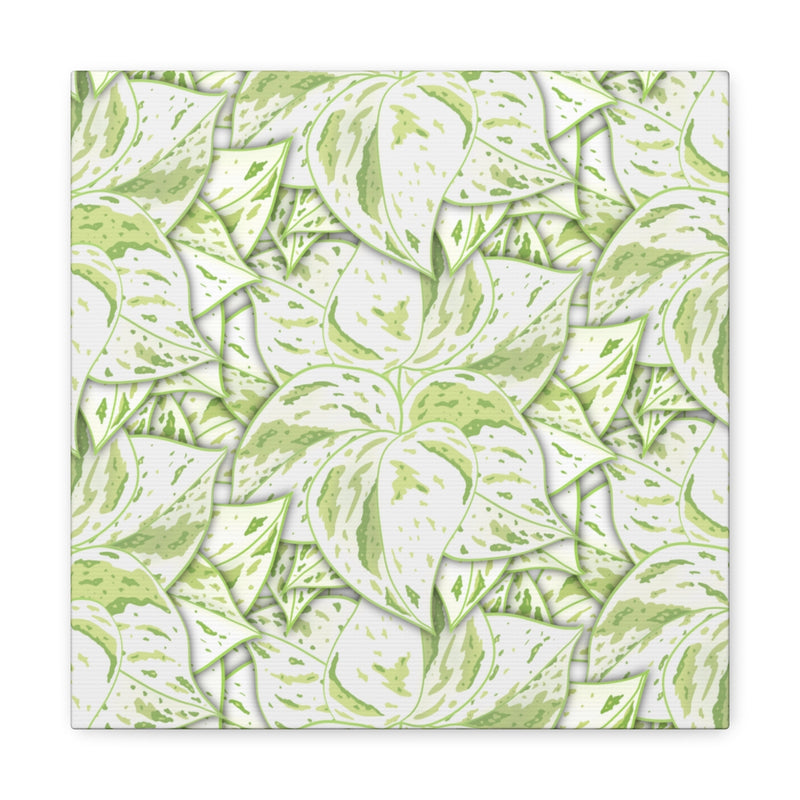 Snow Queen Pothos Canvas