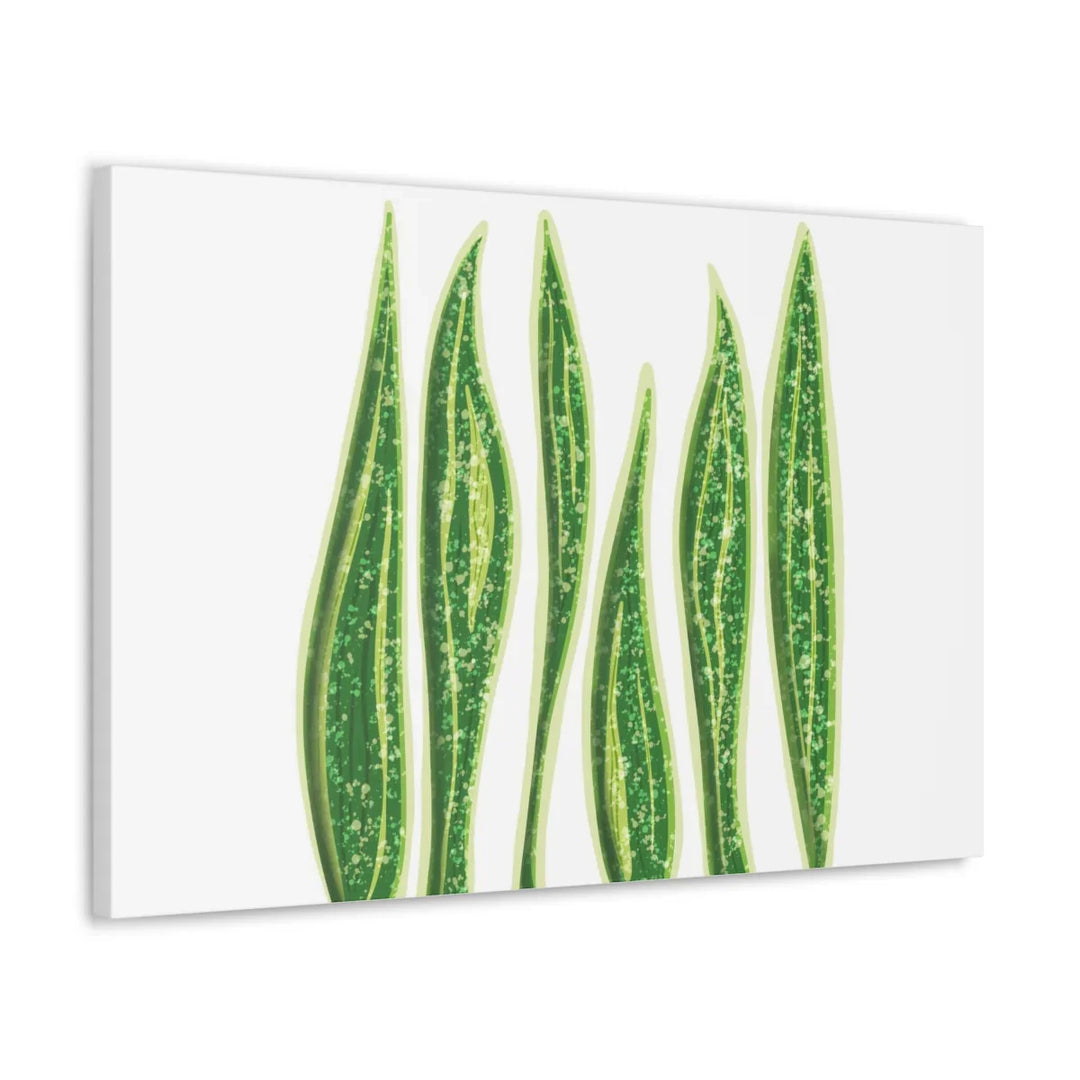 Snake Plant Canvas | Botanical Canvas Decor - Matte Finish Artwork for Living Room - Laura Christine Photography & Design