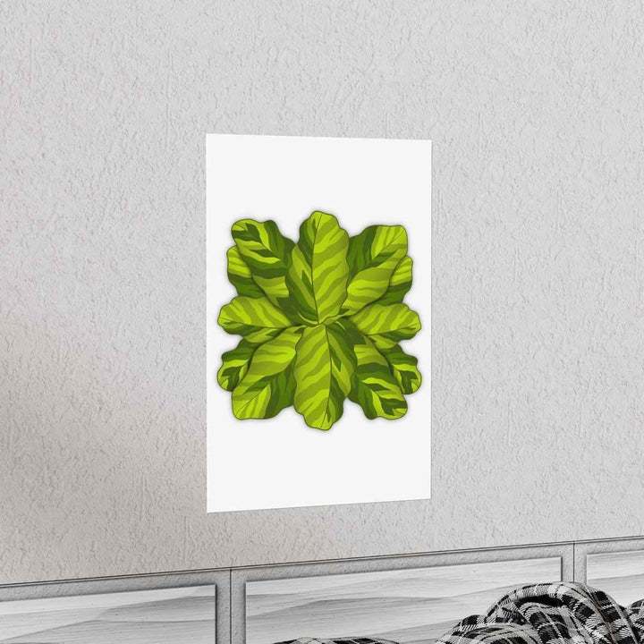 Calathea Yellow Fusion Print – Botanical Wall Art on Museum-Grade Paper Unframed