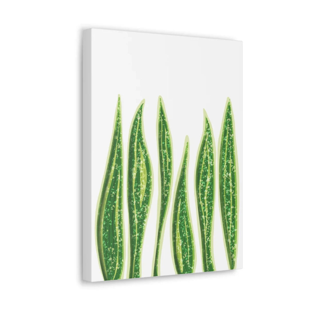Snake Plant Canvas | Botanical Canvas Decor - Matte Finish Artwork for Living Room - Laura Christine Photography & Design