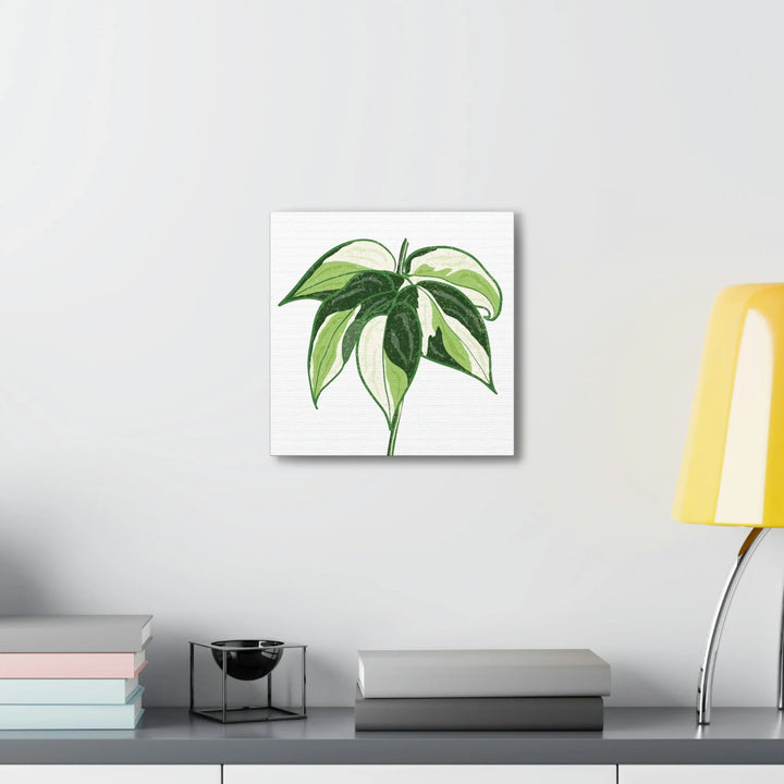 Philodendron Canvas Print - Cream Splash Variegated Plant Art on Matte Cotton Canvas