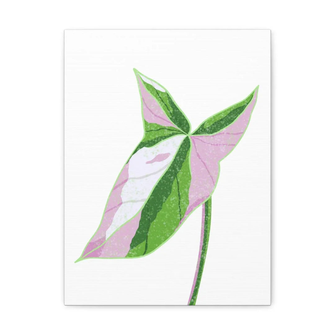 Syngonium Tricolor Canvas | Botanical Canvas Art Print With Matte Finish - Laura Christine Photography & Design