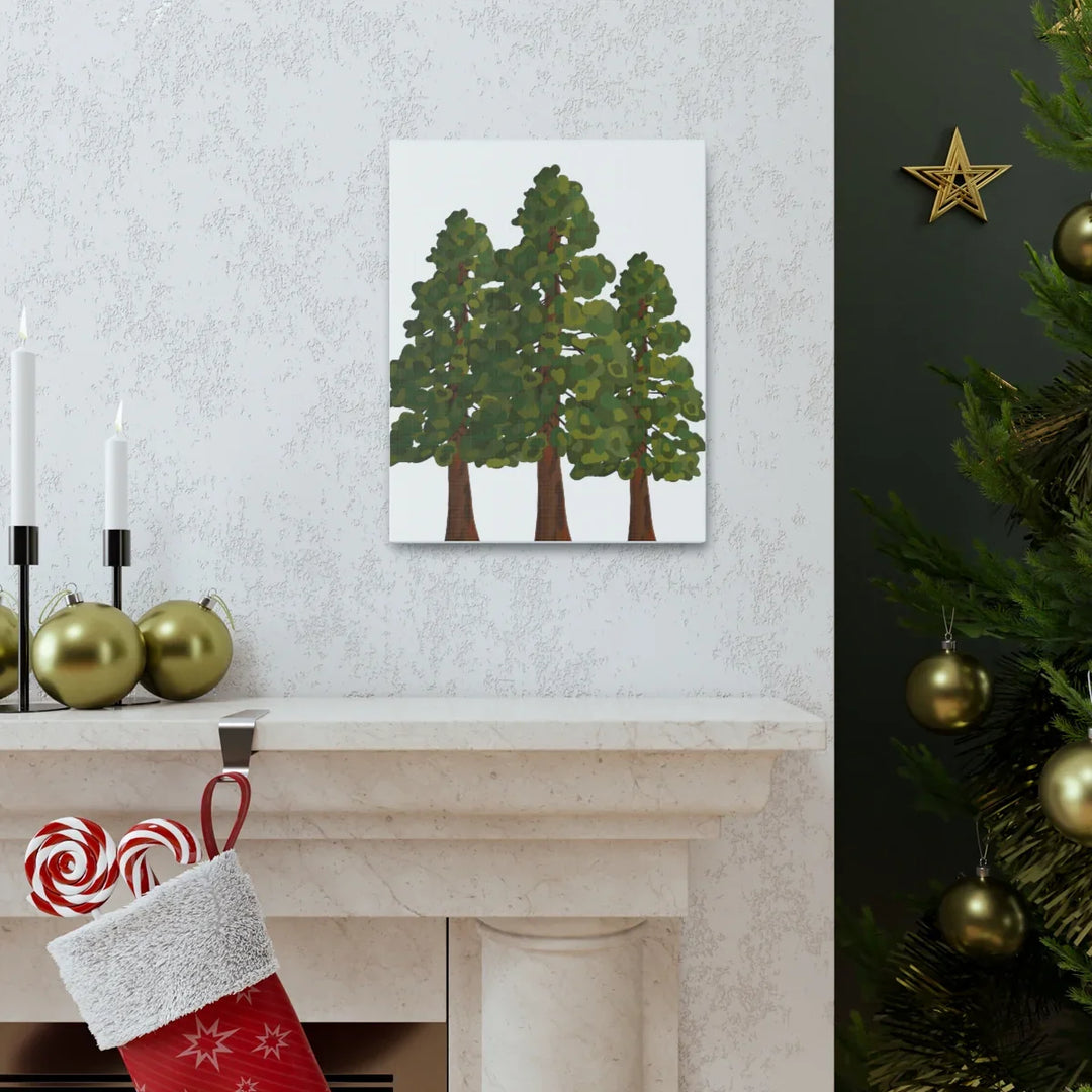 Coastal Redwoods Canvas - Stretched Cotton Canvas Art Print | Matte Finish Wall Hanging Artwork