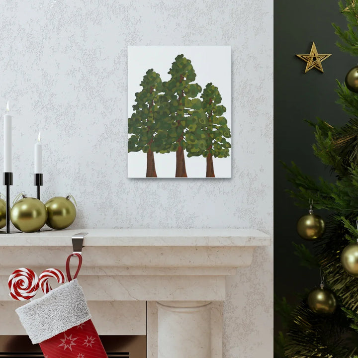 Coastal Redwoods Canvas - Stretched Cotton Canvas Art Print | Matte Finish Wall Hanging Artwork