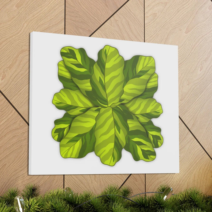 Calathea Yellow Fusion Canvas – Botanical Canvas Print With Unique Leaf Pattern Art - Laura Christine Photography & Design