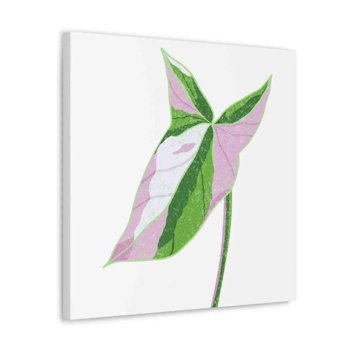 Syngonium Tricolor Canvas | Botanical Canvas Art Print With Matte Finish