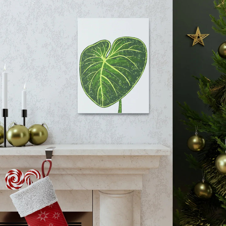 Philodendron Gloriosum Canvas - Stretched Canvas Art Print | Matte Indoor Wall Art - Laura Christine Photography & Design