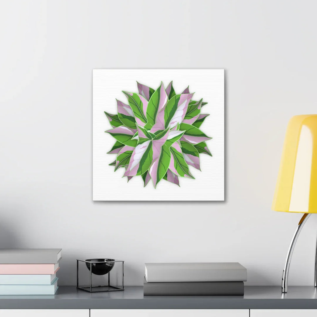 Tricolor Syngonium Canvas - Durable Canvas Art Print With Matte Finish & Botanical Design - Laura Christine Photography & Design