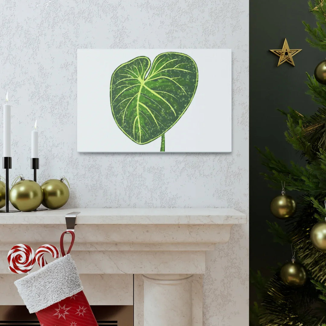 Philodendron Gloriosum Canvas - Stretched Canvas Art Print | Matte Indoor Wall Art - Laura Christine Photography & Design