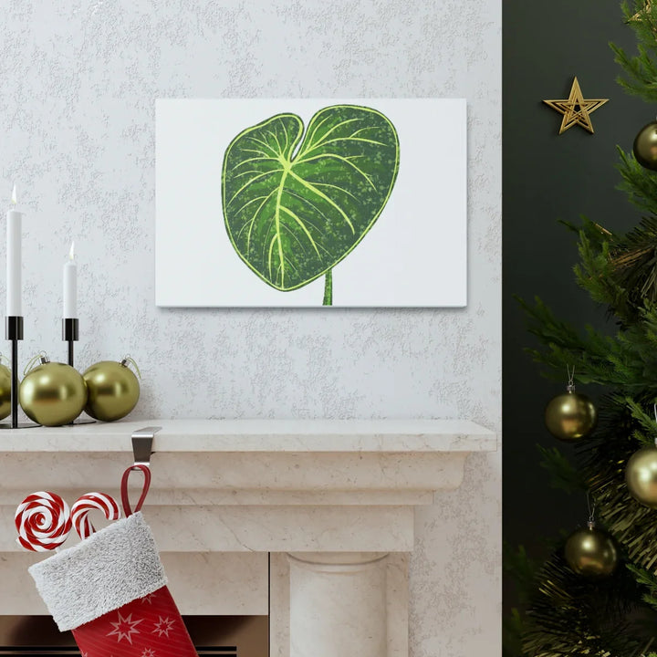Philodendron Gloriosum Canvas - Stretched Canvas Art Print | Matte Indoor Wall Art - Laura Christine Photography & Design