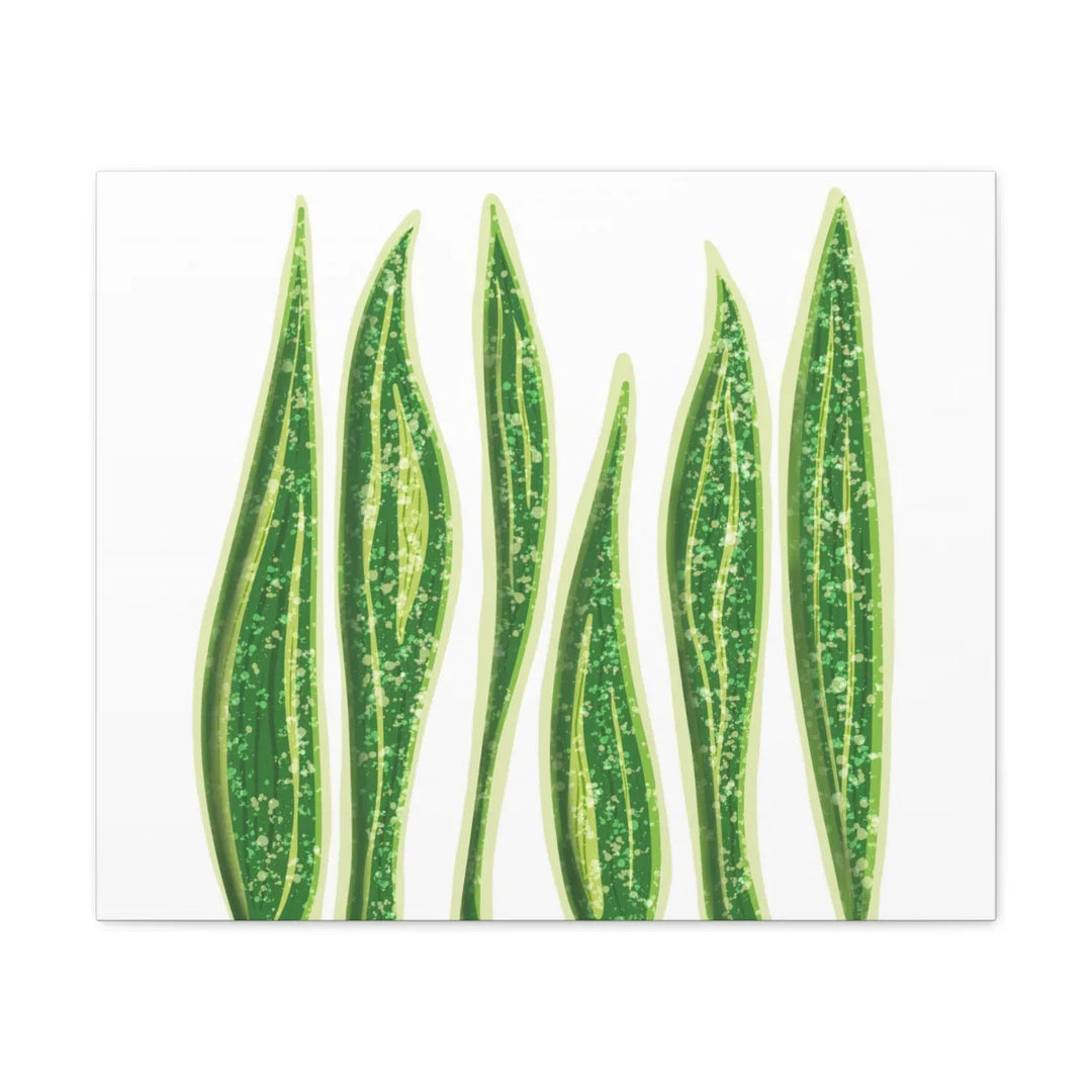 Snake Plant Canvas | Botanical Canvas Decor - Matte Finish Artwork for Living Room - Laura Christine Photography & Design