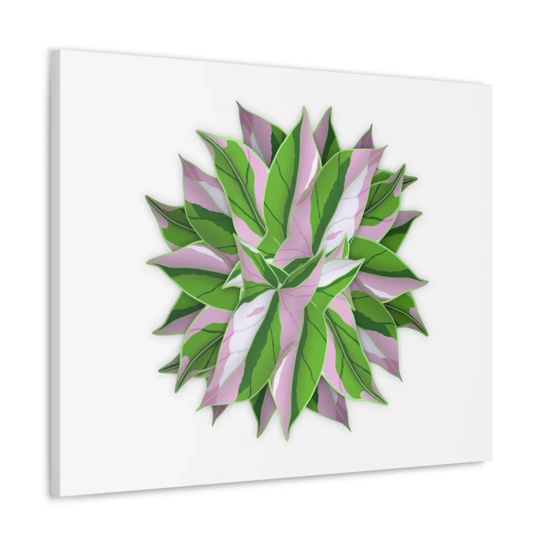 Tricolor Syngonium Canvas - Durable Canvas Art Print With Matte Finish & Botanical Design - Laura Christine Photography & Design